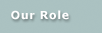 Our Role